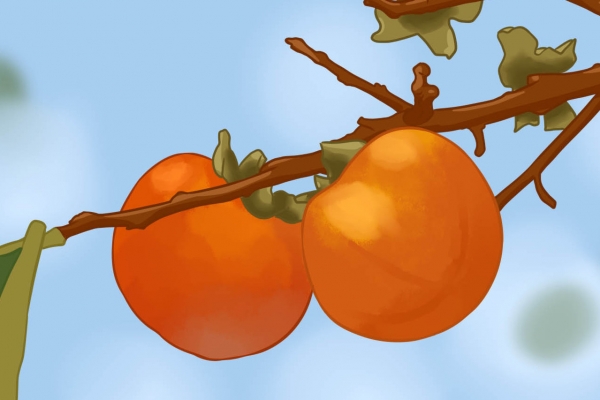 柿子和香蕉可以一起吃吗？ 不能和柿子同吃的食物