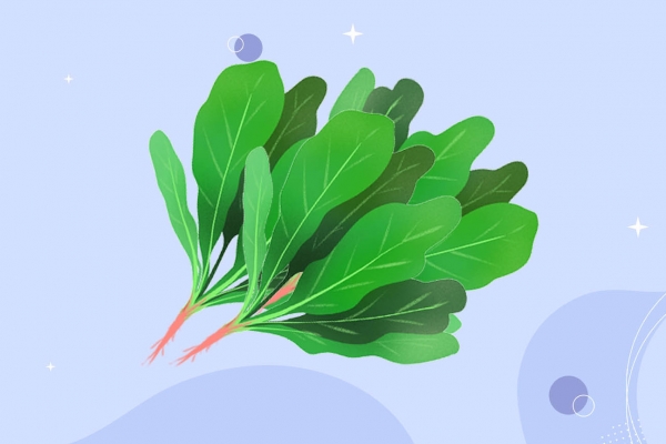 豆腐和菠菜可以一起吃吗？ 吃豆腐和菠菜的好处