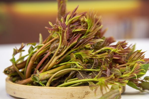 男人吃香椿壮阳吗？ 香椿的功效与作用