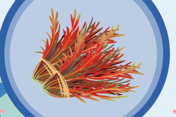 香椿炒鸡蛋要不要焯水 香椿的日常吃法