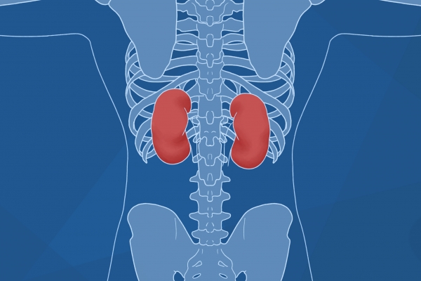 哪些人不适合吃香椿芽 香椿木的功效与作用