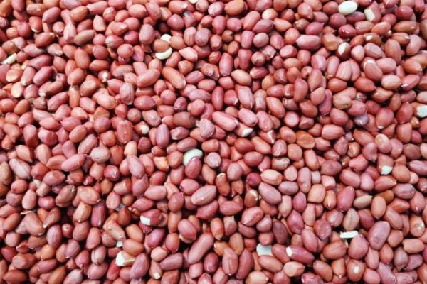 香椿不能和什么一起吃 香椿和什么一起搭配最好