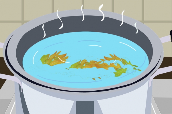 香椿芽不焯水可以直接炒吗？ 香椿采摘的注意事项