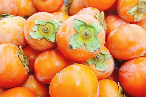 橘子和柿子可以一起吃吗？ 什么不能和柿子一起吃