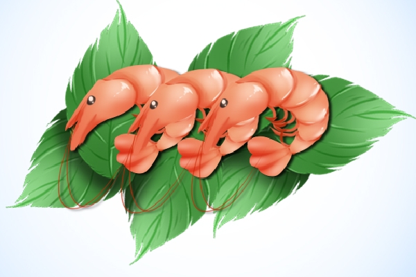 虾可以和鸡蛋一起吃吗？ 鸡蛋的营养价值和功效