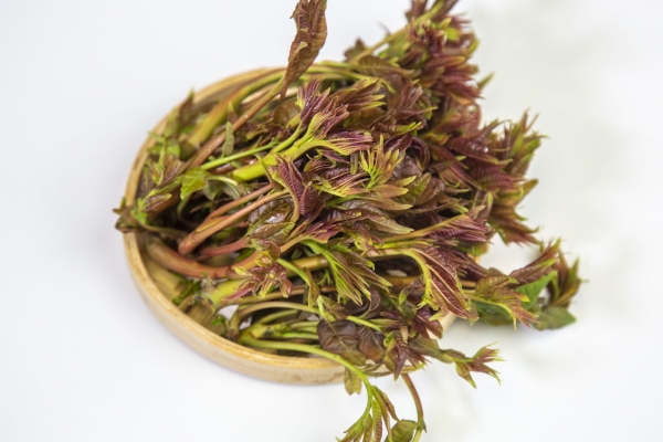 香椿的营养价值和功效 香椿的美味吃法