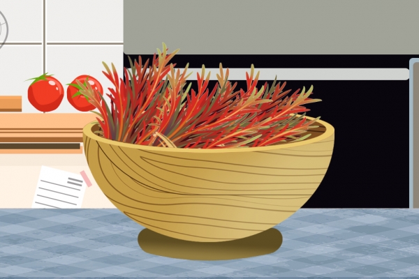 香椿不能和什么同吃 富含维生素C的水果有哪些