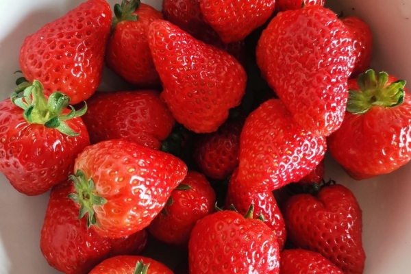 怀孕初期可以吃香椿吗？ 怀孕初期适合吃的水果