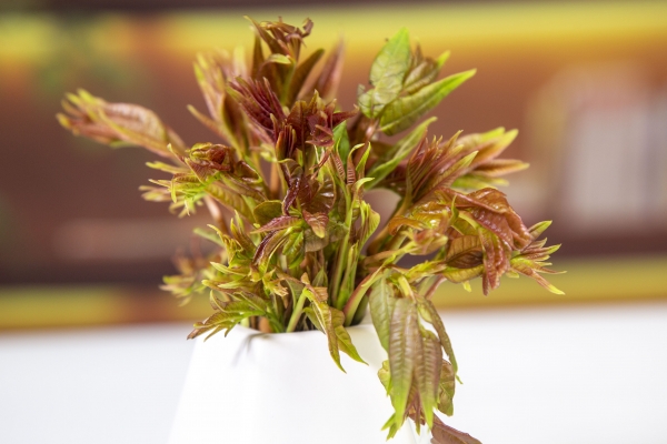 怀孕可以吃香椿炒鸡蛋吗？ 怀孕吃什么坚果好