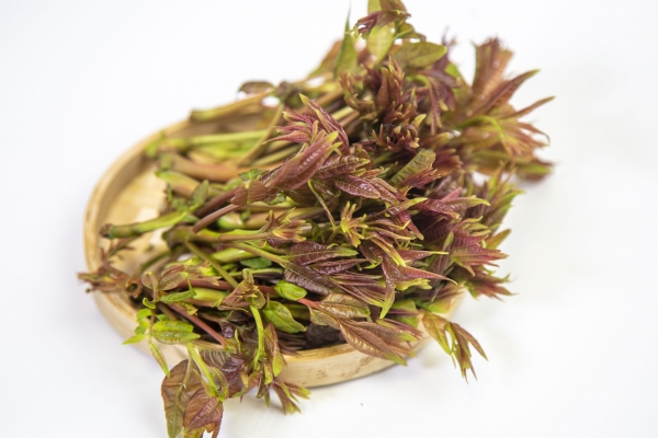 哺乳期妈妈能吃香椿吗？ 哺乳期妈妈适合吃什么水果