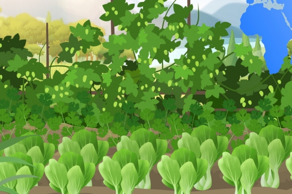 香椿可以吃到什么季节 四月份适合吃什么蔬菜