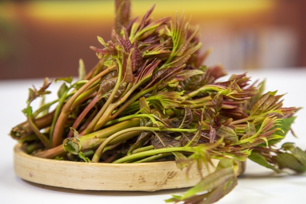 香椿可以晒干保存吗？ 香椿怎么晒干