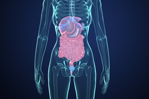 萝卜立夏后还能吃吗？有毒吗？ 萝卜的功效作用