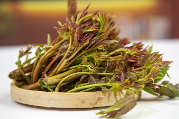 红香椿和绿香椿的区别 香椿的功效作用