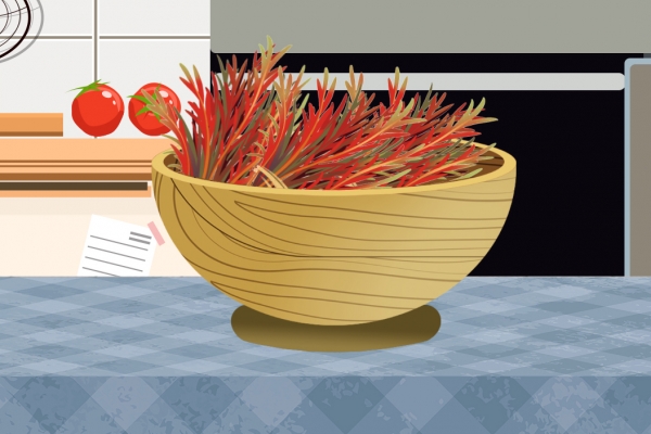 红香椿和绿香椿的区别 香椿的功效作用