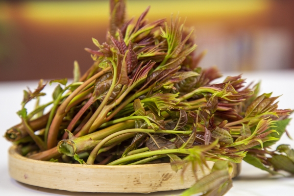 香椿不可以和什么一起吃 谷雨季节吃什么菜
