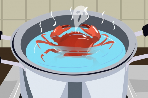 梭子蟹的做法清蒸几分钟 梭子蟹的营养价值和功效