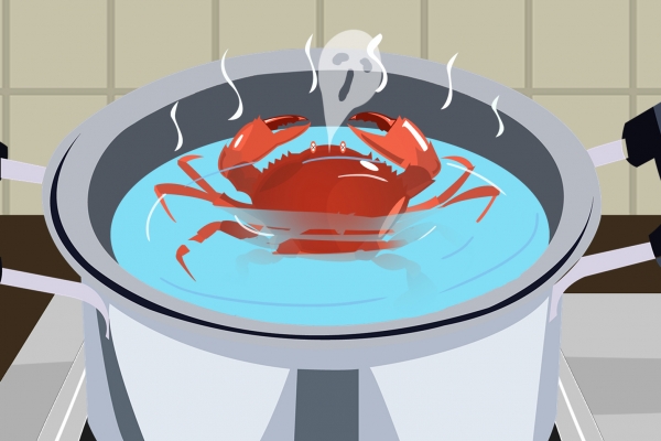 梭子蟹蒸多久时间最佳 梭子蟹的日常吃法