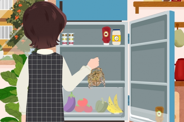 梭子蟹死了能不能吃了 如何挑选梭子蟹