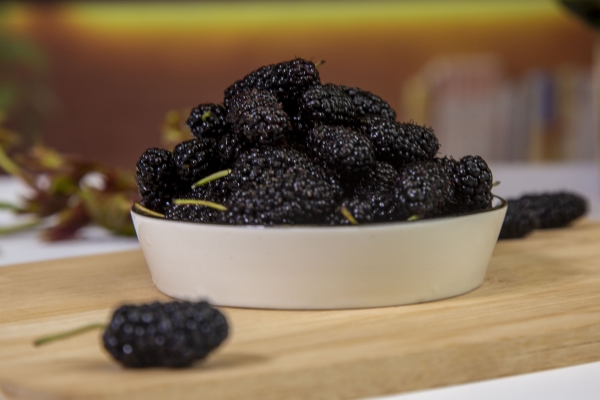 桑葚酒泡两三年还可以喝吗？ 桑葚的常见吃法