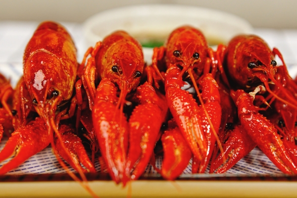小龙虾吃多了对身体有什么影响 小龙虾的日常做法