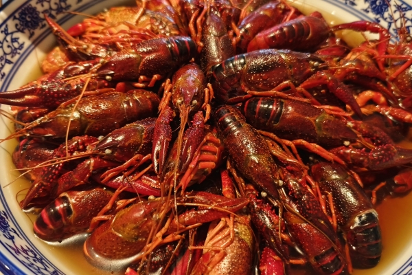 吃小龙虾不能和什么一起吃 小龙虾的功效作用