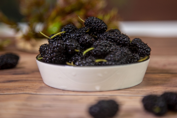 桑葚泡酒有什么功效和作用 男性用什么泡酒喝比较好