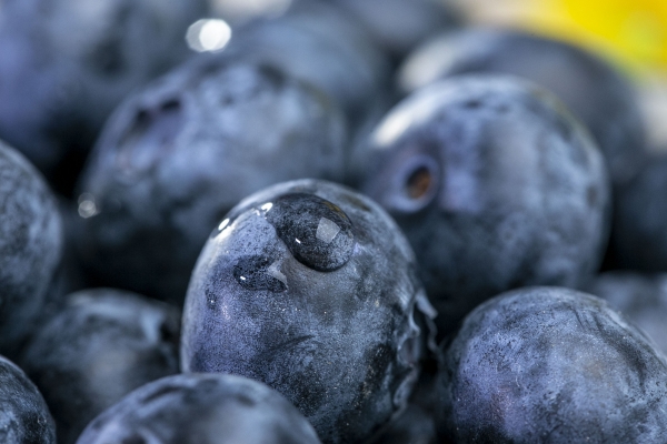 蓝莓可以泡酒吗？ 蓝莓的功效和作用