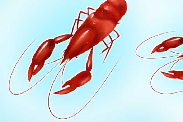 高血压可以吃小龙虾吗？ 高血压适合吃什么食物