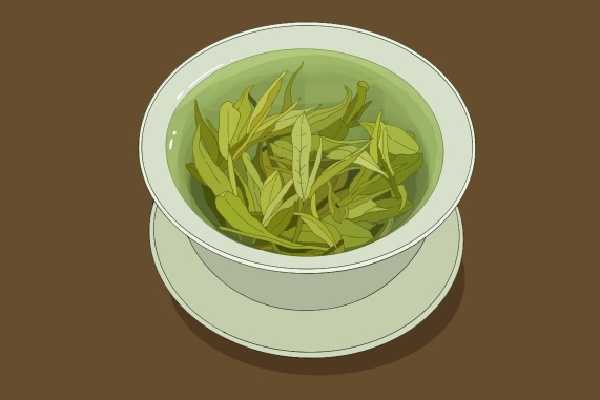 菊花和绿茶可以一起泡吗？ 绿茶的功效与作用