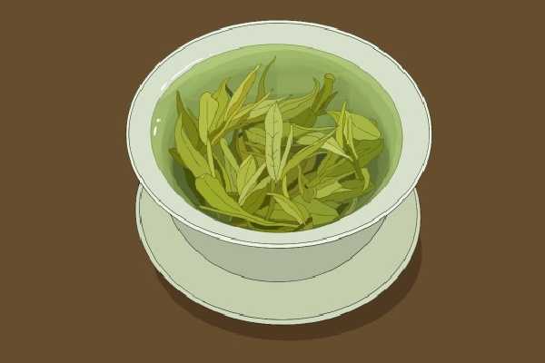 常喝绿茶的功效与作用 绿茶和什么一起泡好