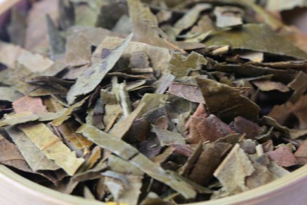 枇杷叶怎么煮水止咳 枇杷叶不适合什么人群