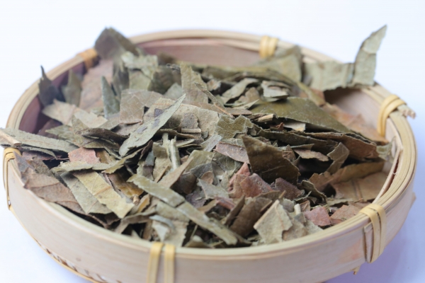 枇杷叶上的毛有什么害处 枇杷叶怎么使用