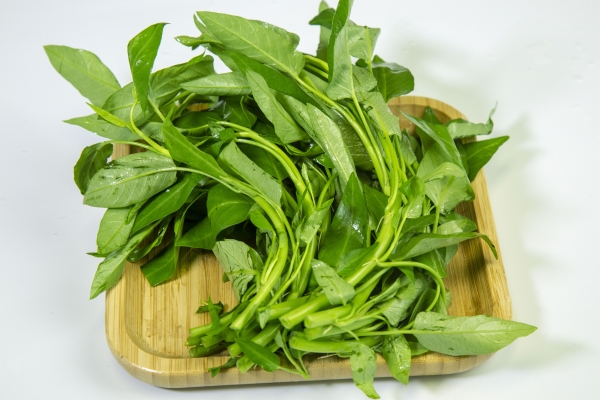 空心菜为什么被称为痛风菜 空心菜的功效和作用