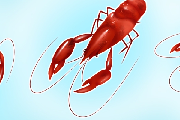 熟的小龙虾隔夜能吃吗？ 新鲜龙虾怎么冷冻保存