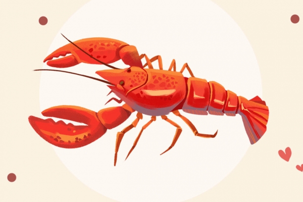 熟的小龙虾隔夜能吃吗？ 新鲜龙虾怎么冷冻保存