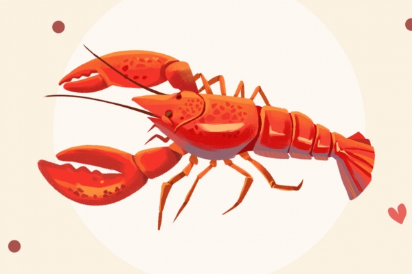 吃小龙虾不能喝什么酒 怎么选新鲜的小龙虾