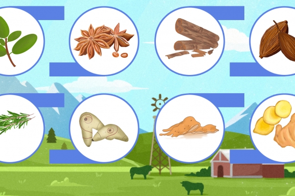 小龙虾为什么要加啤酒煮 小龙虾怎么去腥味