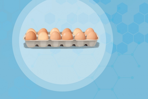 三伏天如何保存鸡蛋不坏 三伏天保存食物小技巧