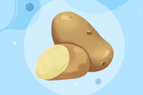 土豆三伏天怎么保存不坏 挑选新鲜的土豆小技巧