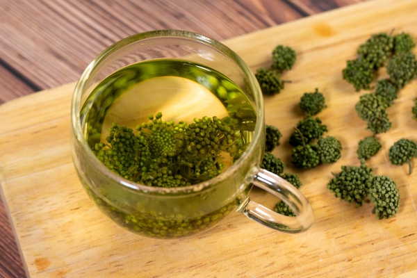 三伏天能不能喝三七粉 三七粉的吃法