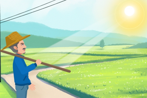 三伏天晒背能去除湿气吗？ 三伏天如何正确晒太阳