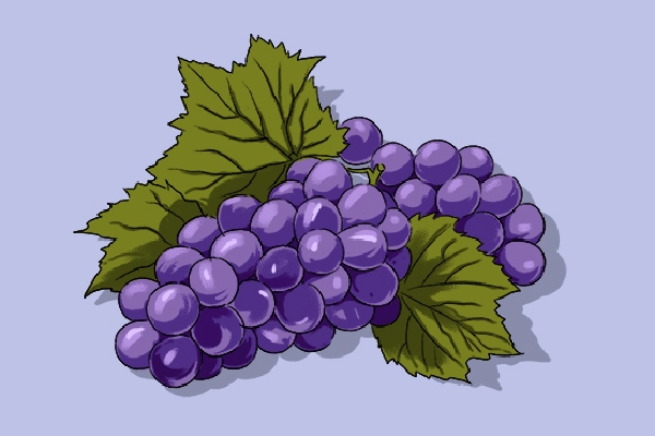 三伏天吃哪些水果最好 三伏天水果挑选技巧