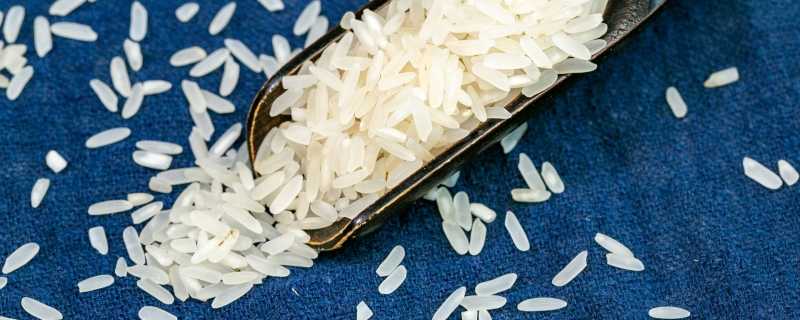 夏季大米怎么保存不生虫子 保存大米的小妙招