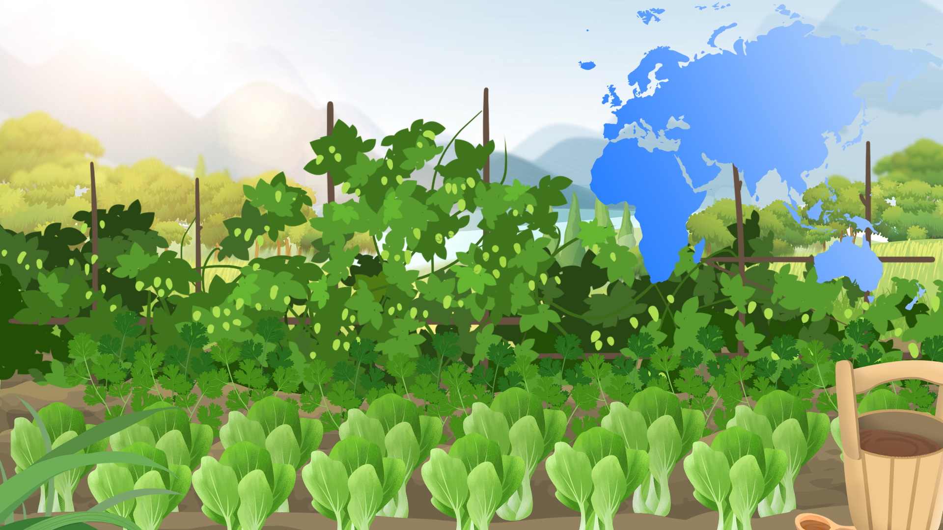 夏季蔬菜怎么处理保存好 新鲜蔬菜的保存方法