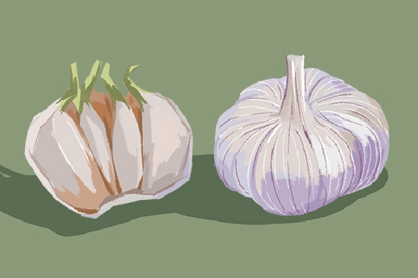 夏季新鲜大蒜怎么长期保存 夏季保存新鲜大蒜的方法