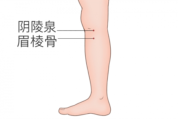 身体哪个穴位可以祛风祛湿 湿气重时身体会有哪些表现