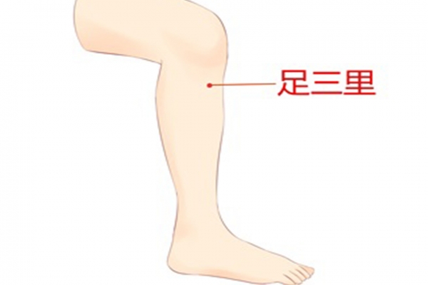 身体哪个穴位可以祛风祛湿 湿气重时身体会有哪些表现