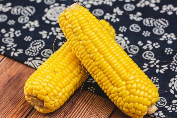 夏季怎么样保存新鲜玉米 保存新鲜玉米的方法