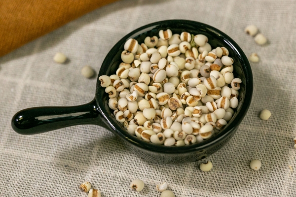 炒薏米和生薏米哪个祛湿效果好 食用注意事项